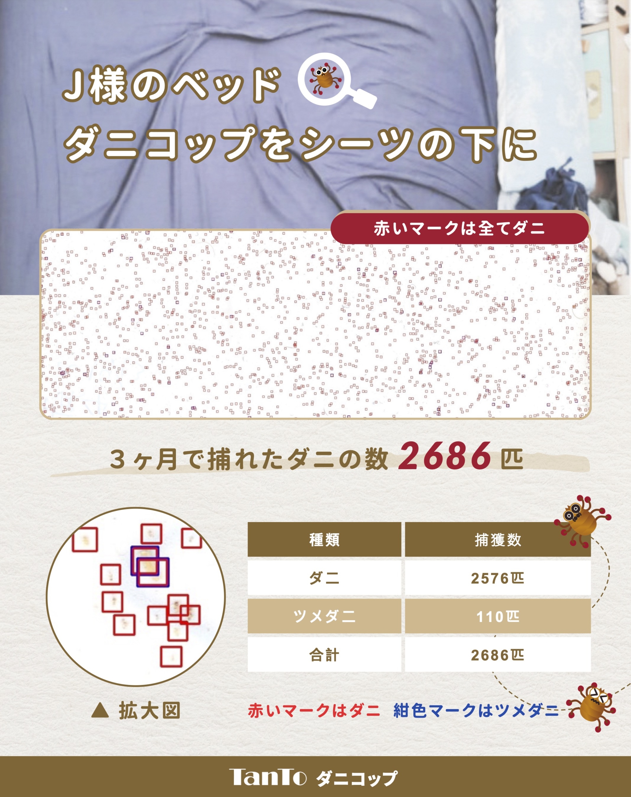 シーツの下ダニの数