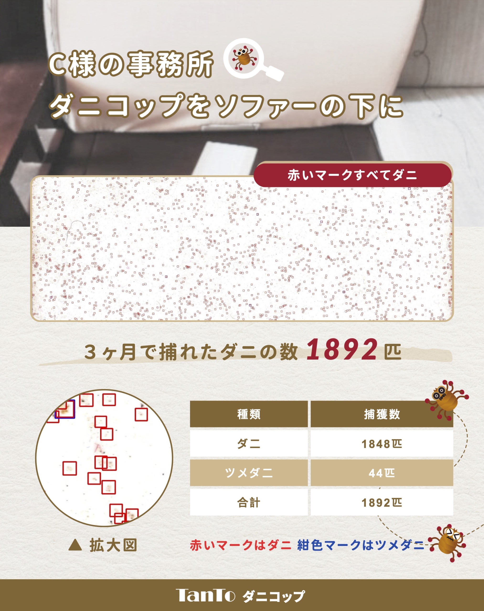 ソファーの下