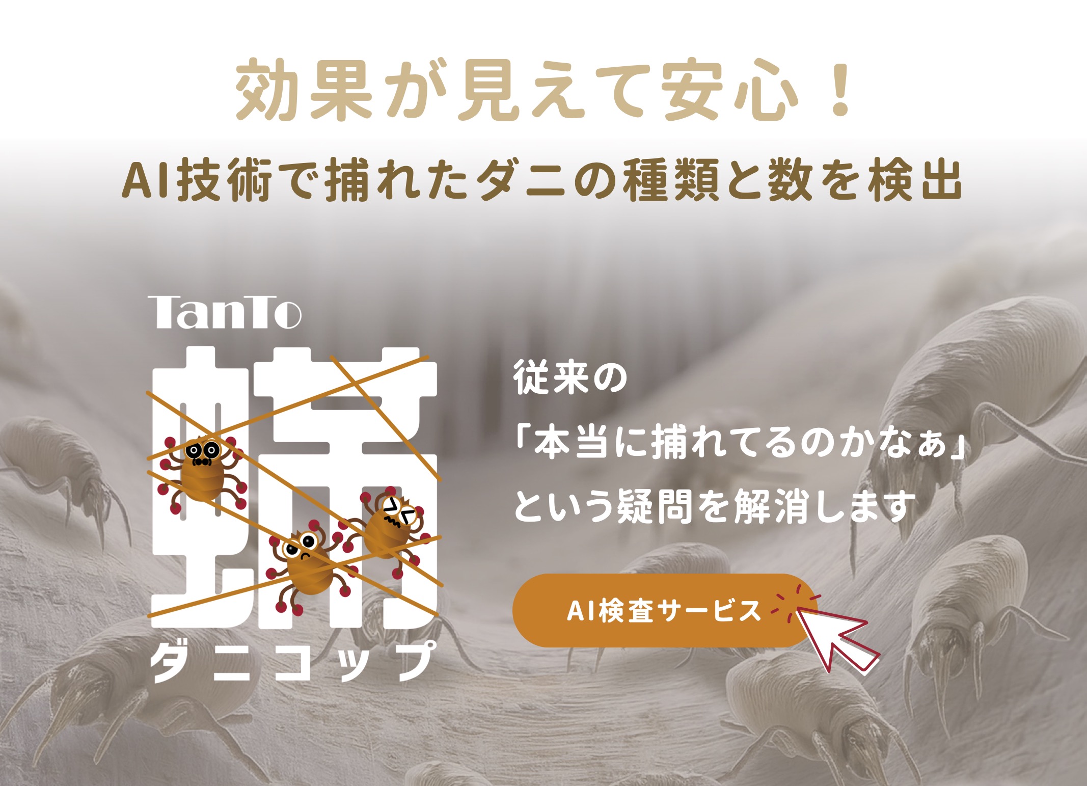 効果が見えて安心