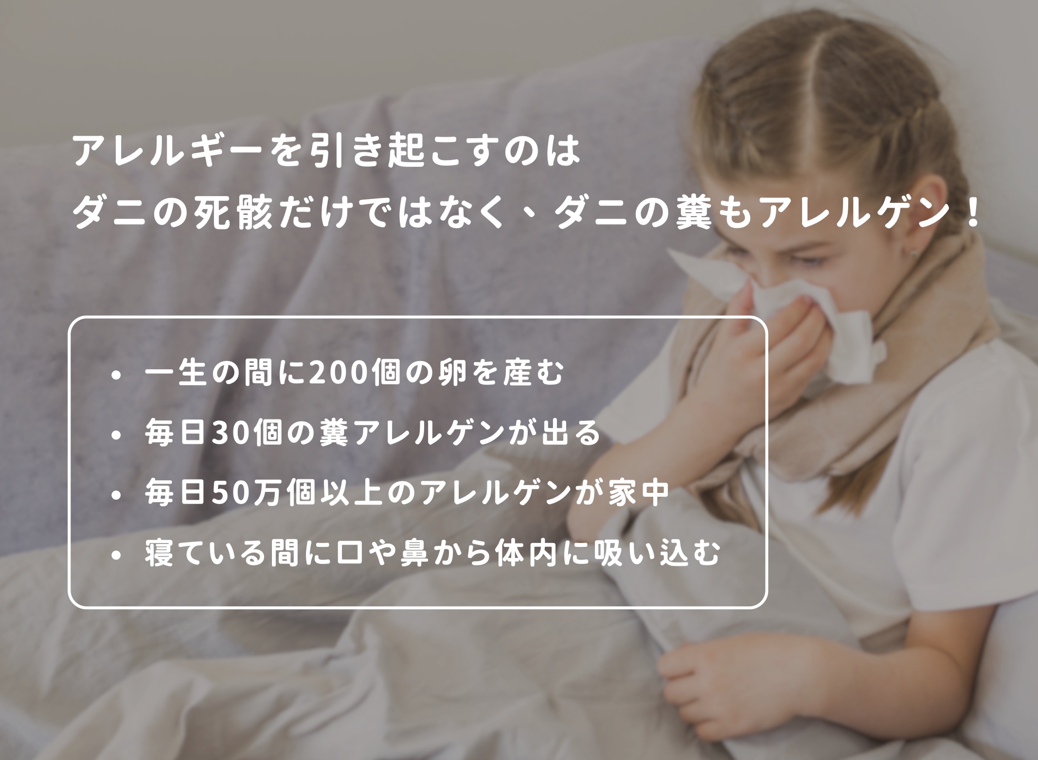 ダニ知識