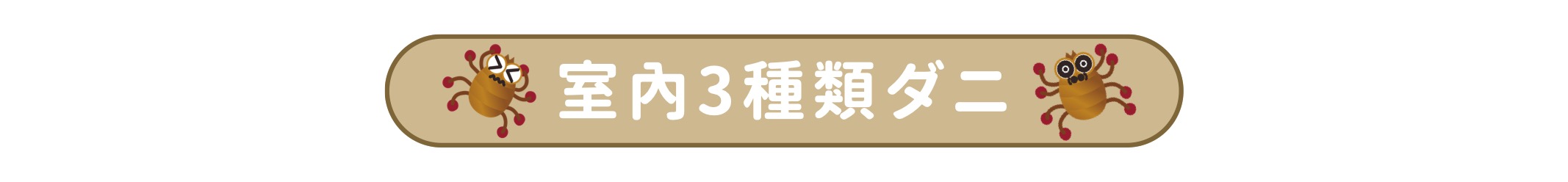 室内3種類ダニ