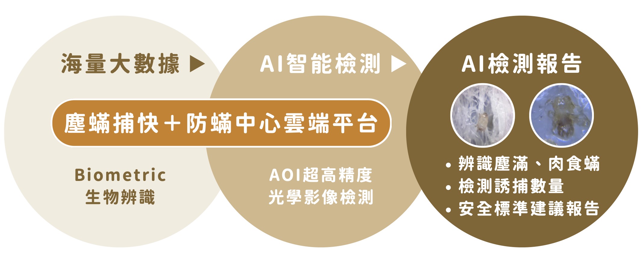 塵蟎捕快＋ai檢測流程系統