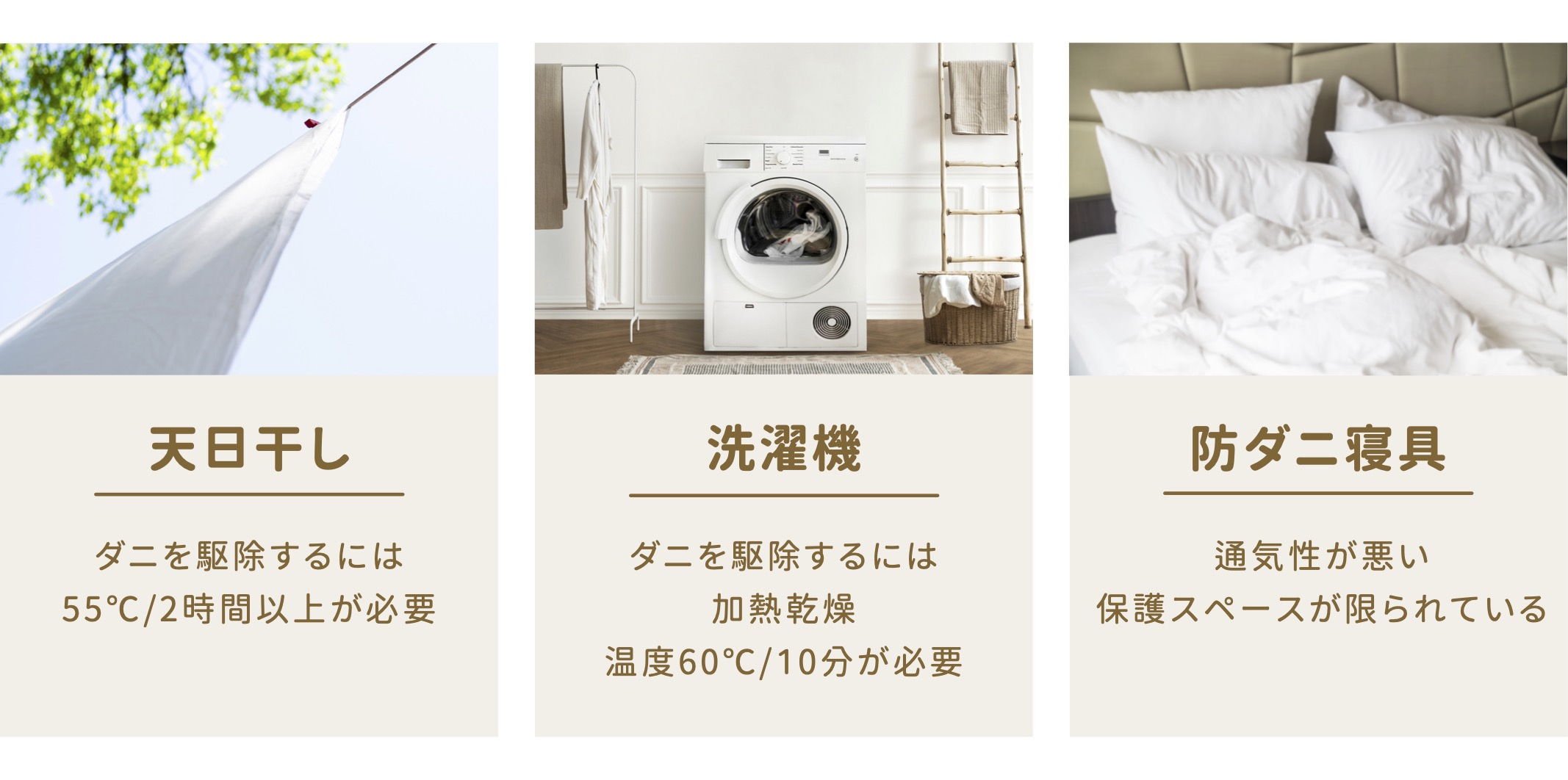 ダニ対策方法