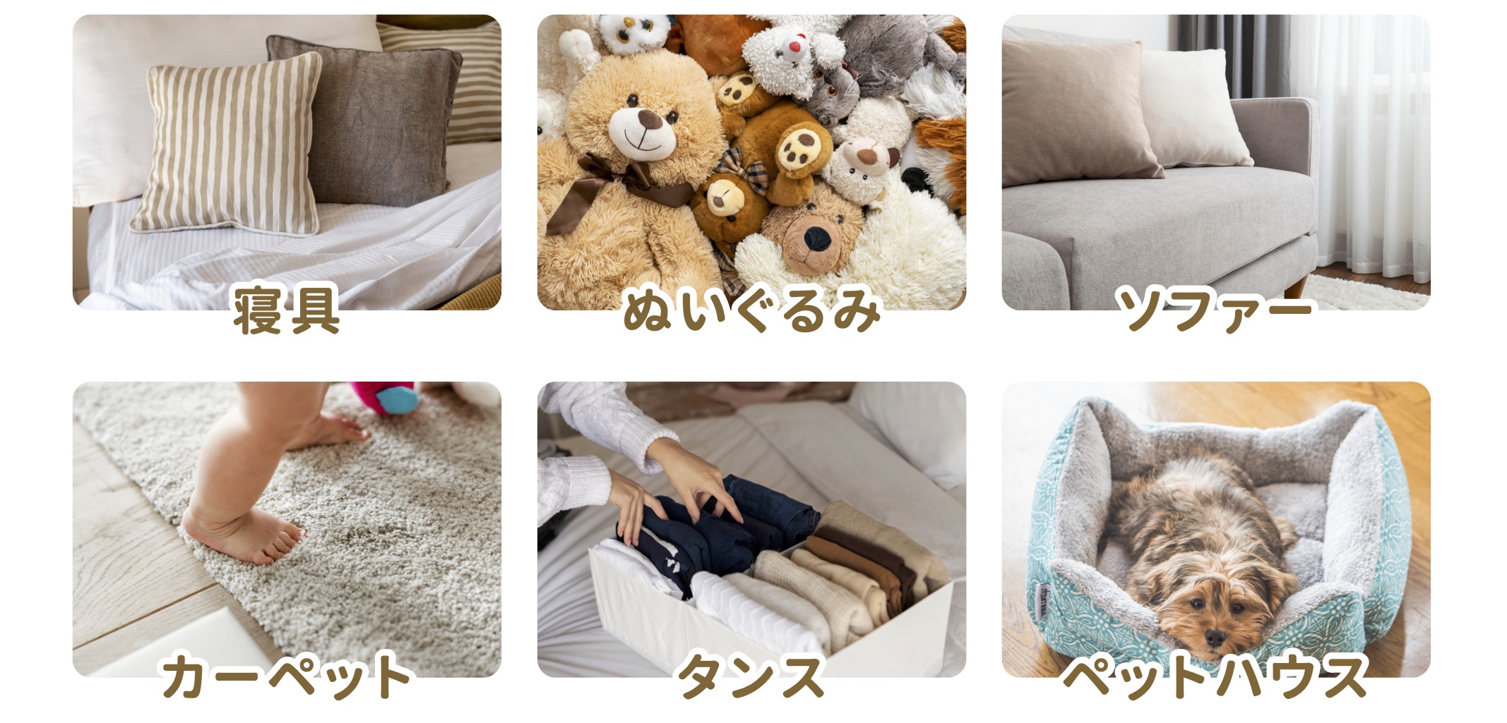 ダニの隠している場所