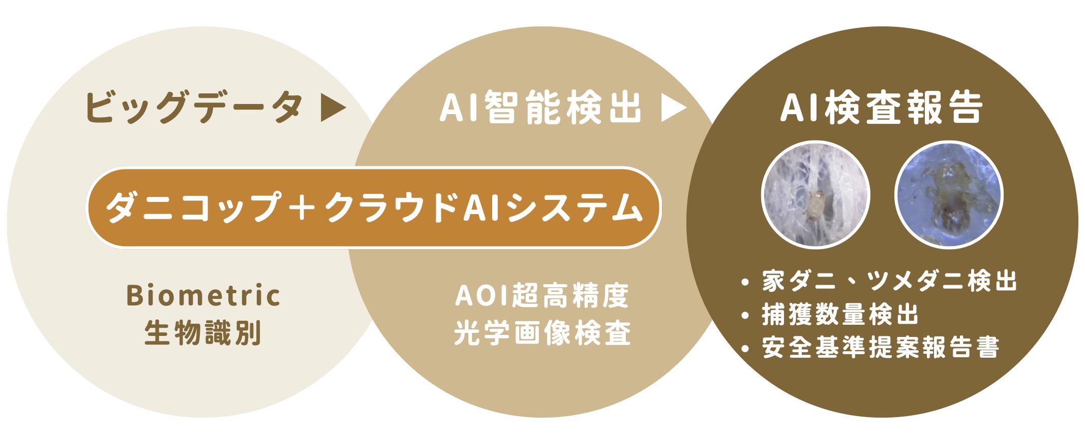 AI検出システム