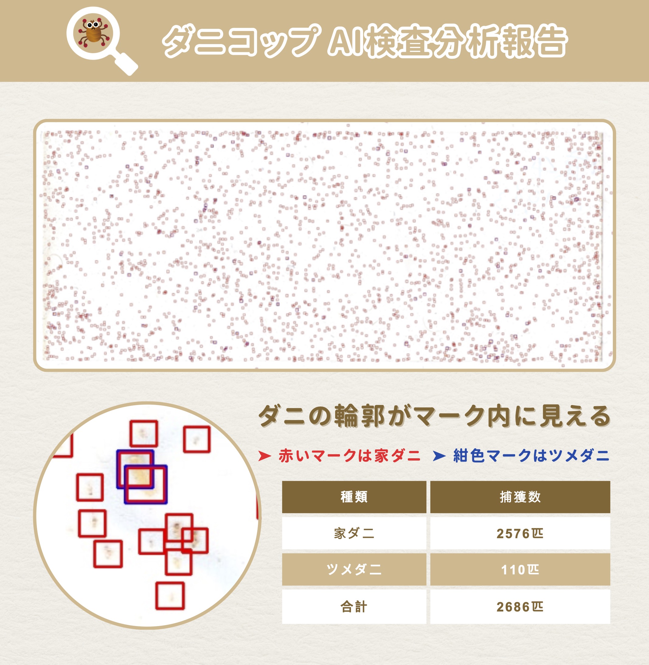 ダニコップAI検査分析報告