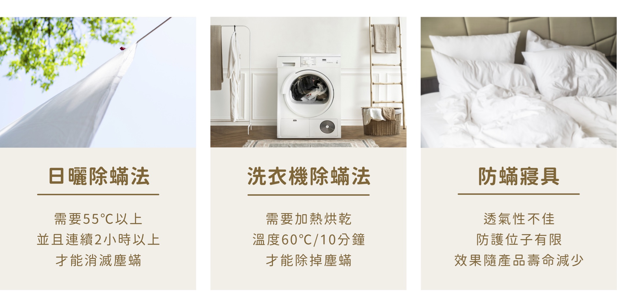塵蟎捕快＋除蟎對策方法