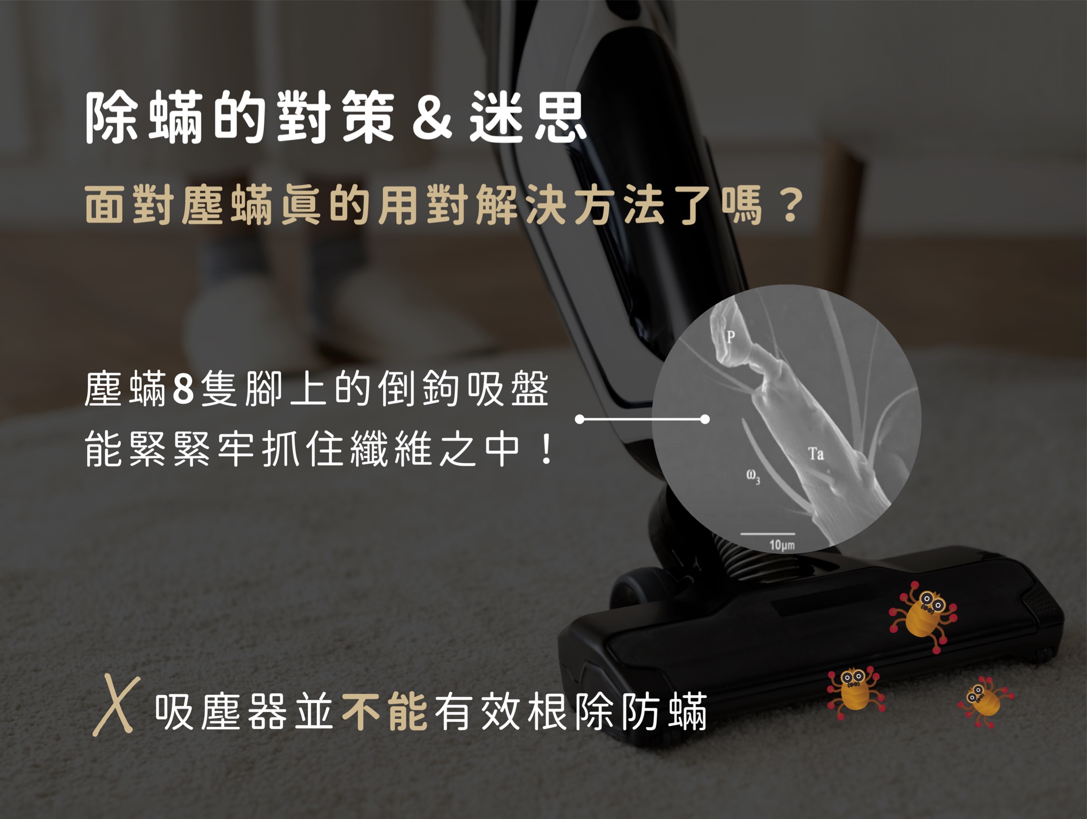 塵蟎捕快＋除蟎對策與迷思